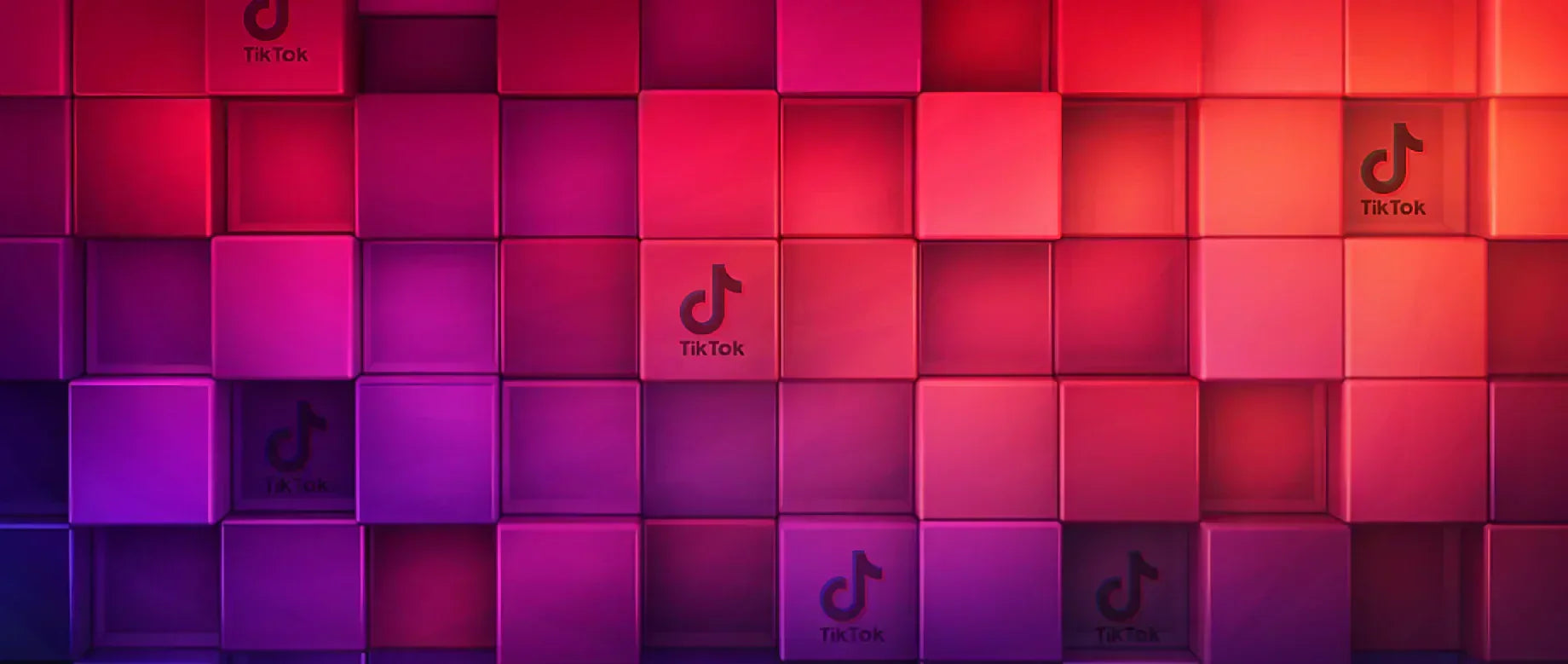 Organische Reichweite auf TikTok: Traffic strategisch aufbauen
